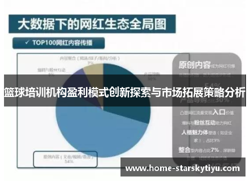 篮球培训机构盈利模式创新探索与市场拓展策略分析